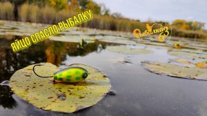 Ловля на поверхностные приманки на Волге: Как хорватское яйцо стало спасением