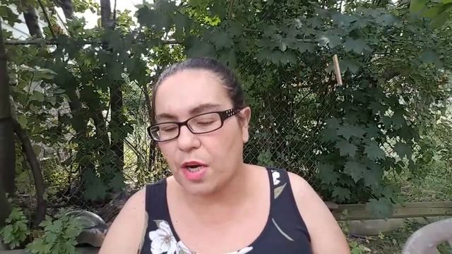 DOLLAR TREE HAUL ? | ALL NEW ITEMS | AUGUST 13 2018