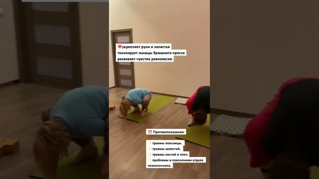 Пхуджа можно и нельзя делать кому #ashtanga #video #yoga #санктпетербург #shortvideo