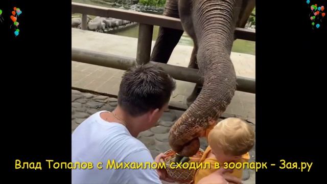 Влад Топалов с сыном покормил слона. Новые видео 2021 смотреть онлайн