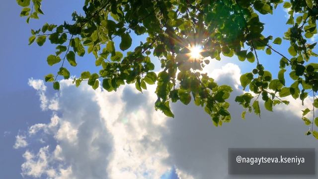 Медитация на избавление от негативных мыслей смотреть онлайн