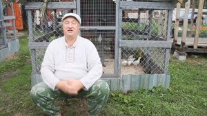 ЦЫПЛЯТА ПЛОХО РАСТУТ! ИСПРАВЛЯЕМ.