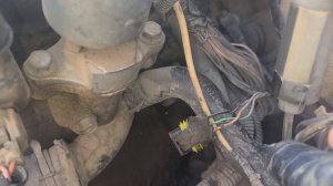 Neksiyada spidometr taxometrga o'xshab gaz bossa o'ynab turgan ekan aybi topildi