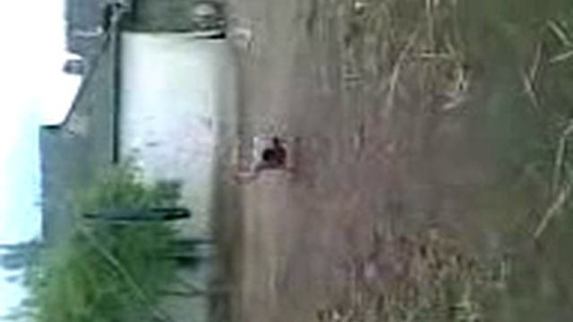 Дудай.3gp смотреть онлайн