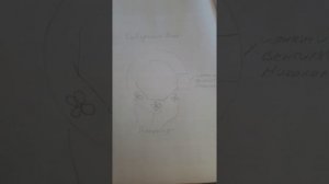 Теория ионного вентилятора Николаева