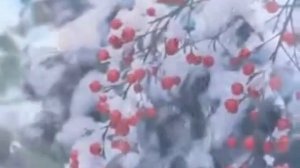 Чайковский Зима