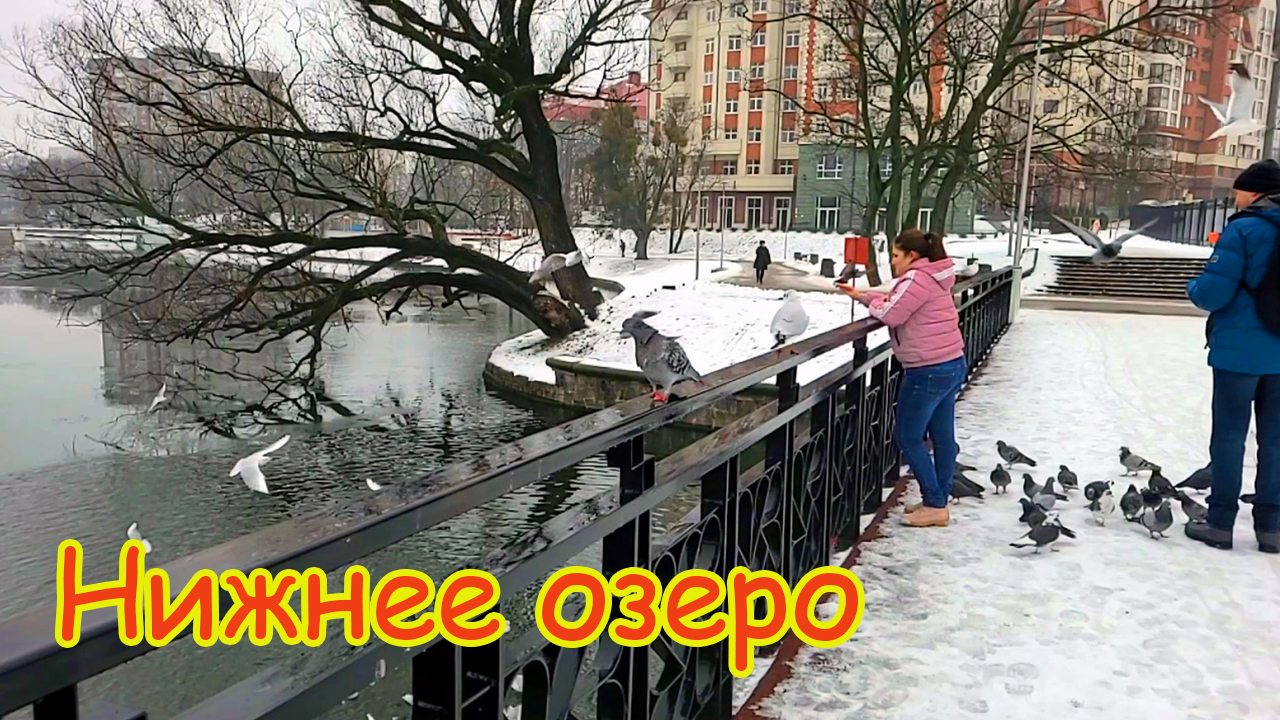 Релакс на Нижнем озере Калининграда. Живой звук