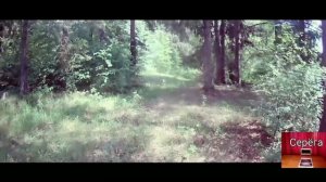 Пионерский лагерь СССР " Берёзка", 30 лет спустя!