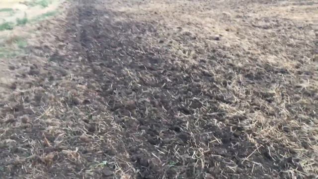 Итоги Сезона 2020 смотреть онлайн