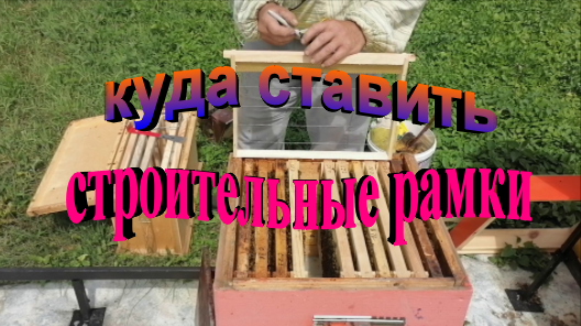 Куда ставить строительные рамки. Пчеловодство без вощины смотреть онлайн