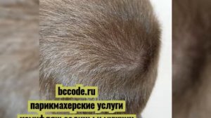 Окрашивание седых волос|Для мужчин
