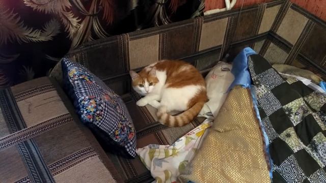 Кто гадит в ванной? смотреть онлайн