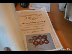 Сузан В. Г., автор более 60 сортов лука и чеснока. О себе, о работе, об учителях