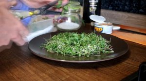 Салат с микрозеленью и тунцом