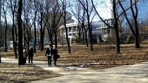 BABOKUP/ Социальный Эксперимент / Человеку плохо