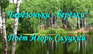Берёзоньки - берёзки