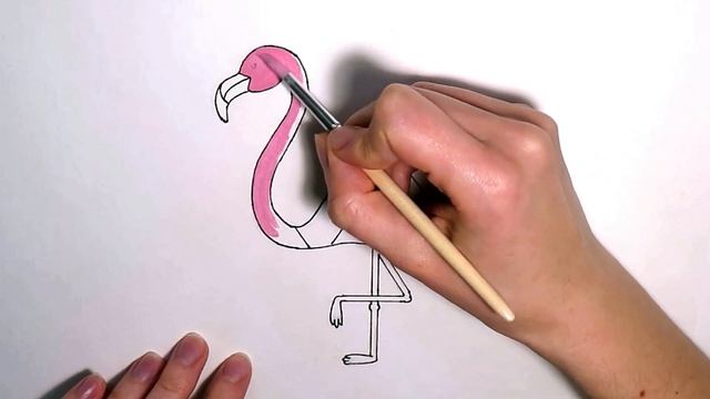 Рисуем птиц. Часть 1: Фламинго / Drawing birds. Part 1: Flamingo