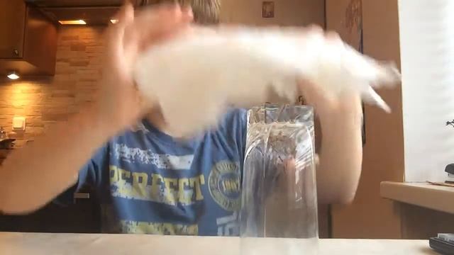 Иллюзия обмана или фокусы дома (часть 2) смотреть онлайн