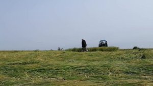 Лайфхак как сберечь полотно КЗН-КИ от попадания на болотные кочки / Косим на мтз 80 безпальцевой кз