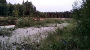 10-11 июля 2021. Керженец. Отдых с палаткой, рыбалка, прогулка на лодке.