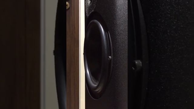 TacTic II Driver Unit WilsonBenesch Test