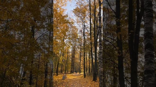 Осень в Политехе прекрасна