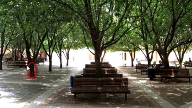 Ответы на игру Найди кота в одноклассниках на 631, 632, 633, 634, 635 уровень смотреть онлайн