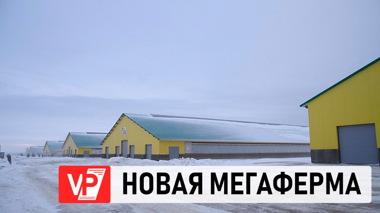 В ВОЛГОГРАДСКОЙ ОБЛАСТИ ЗАВЕРШАЕТСЯ СТРОИТЕЛЬСТВО КРУПНЕЙШЕЙ МОЛОЧНОЙ ФЕРМЫ В РОССИИ