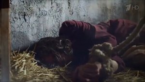 Памяти "Молодой гвардии" посвящается...