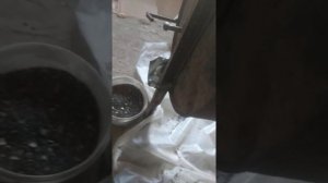 выбивание семечек подсолнуха