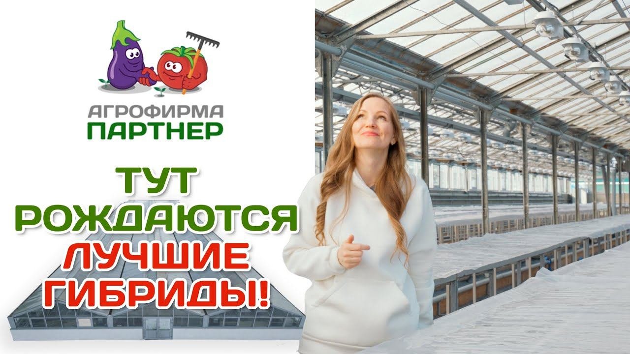 Экскурсия по агрокомбинату | Репортаж из самого сердца 