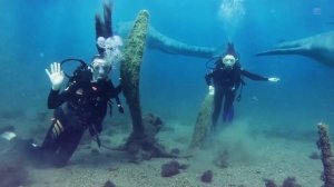 Карадагский змей?. Съемки с камеры дайверов в Черном море