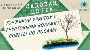 Садовая почта: Торфяной участок с грунтовыми водами. Выпуск 24