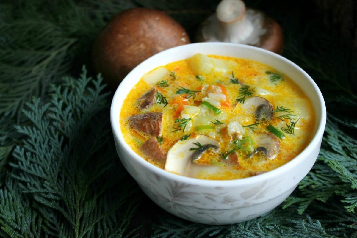 Суп с грибами рецепт с фото пошагово
