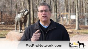 Pet Pro Network SEO Webinar