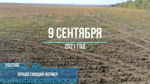 Озимая рожь 2021 технология No-til