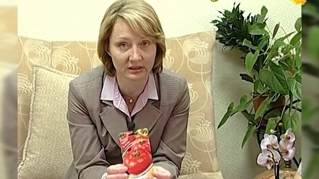 Томаты: сорта и гибриды для теплиц и открытого грунта смотреть онлайн