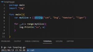 11.Loops and range in Golang | BTP
