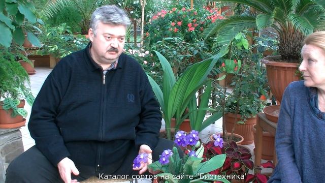 Многолетники  из семян. Часть 1.
