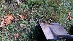 Нашёл золото пинпоинтером. GP-Pointer в работе. Покупал на Али экспресс провожу первые испытания