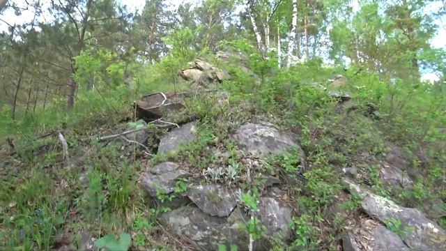 Летний поход в урочище Гычи смотреть онлайн