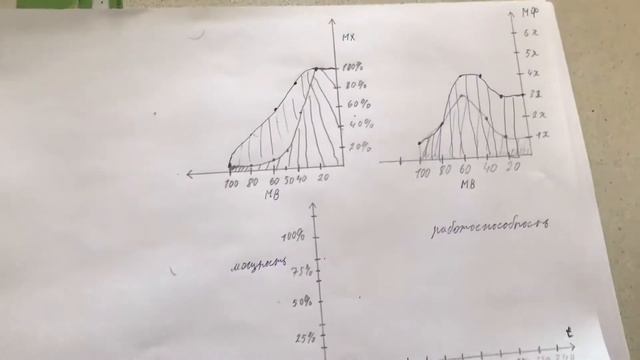 Модель мышцы, работоспособности и зависимости выносливости от силы!!!
