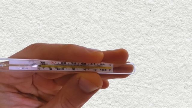 КАКОВА ТЕМПЕРАТУРА ТЕЛА СЫРОЕДА ПОСЛЕ 6 ЛЕТ СЫРОЕДЕНИЯ смотреть онлайн