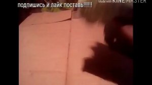 Чем нужно кормить кроликов чтобы быстрей набрали вес