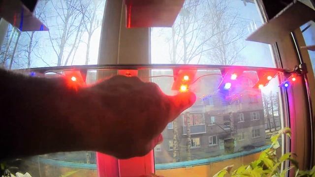 Подсветка рассады на окне смотреть онлайн