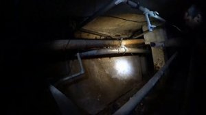 Мониторная 2, п. 4-8. Обследование подвала.