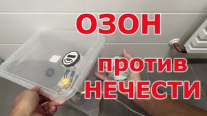 Озон против жука точильщика