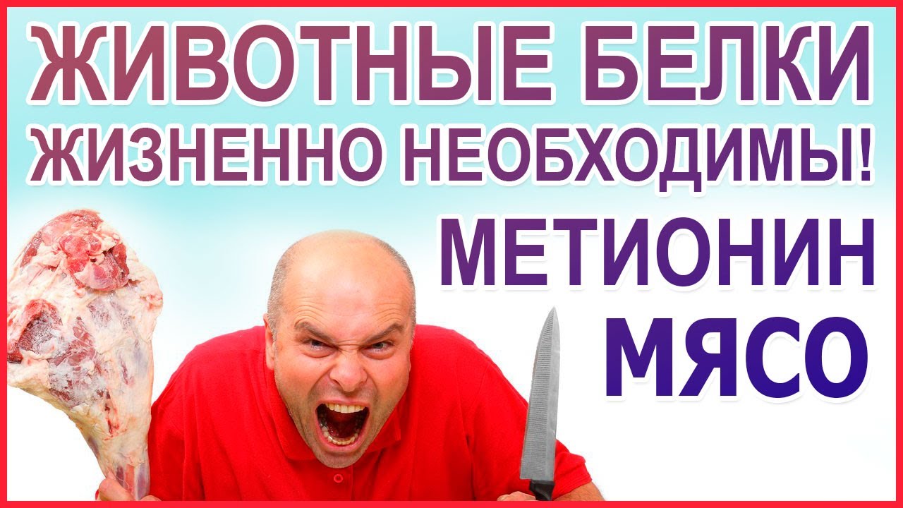 МЯСО нужно есть! Желудок - орган для мяса! Люди - это животные, значит должны есть мясо! Метионин.