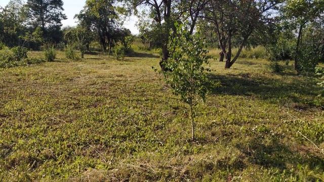 покос травы триммером вывоз травы очистка участка от кустарников и деревьев смотреть онлайн