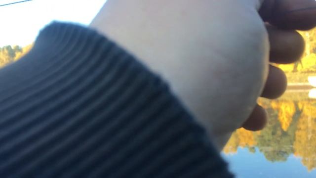 Канал имени Москвы реки рыбалка смотреть онлайн